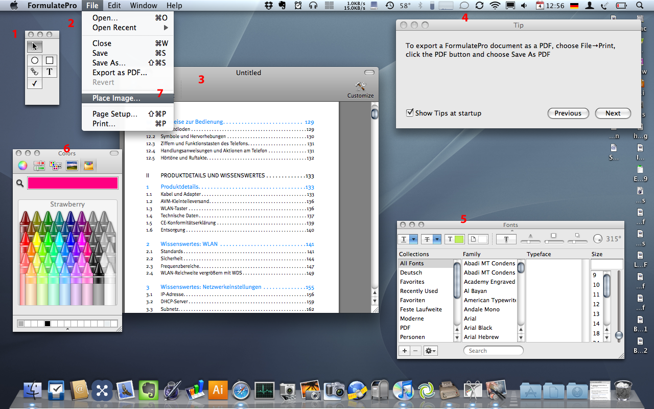 Die Fenster von FormulatePro